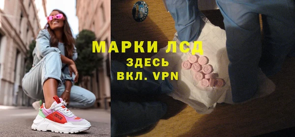 прущие грибы Богородск