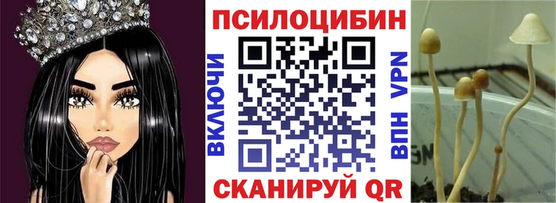 где продают наркотики  Валуйки  Галлюциногенные грибы мицелий 