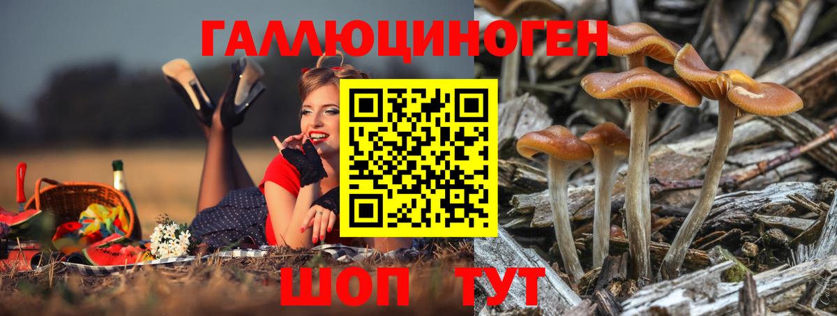 Галлюциногенные грибы мухоморы Валуйки