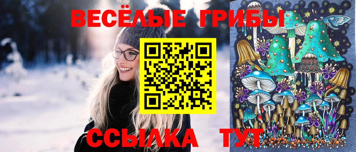 Псилоцибиновые грибы Psilocybine cubensis  Галлюциногенные грибы GOLDEN TEACHER  Валуйки  Вход с VPN 