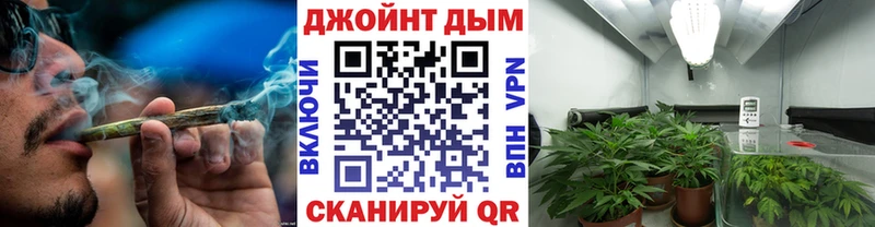 Бошки марихуана Amnesia как найти Валуйки
